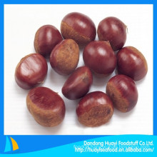 chestnut Chinese Dandong origianl 100% natural green new fresh chestnut